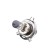 Car lamp Xenite Standart H4 (P43T)