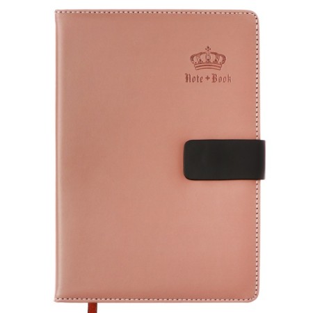 Organizer A5, with a header, 120 sheets in a ruler, PVC cover, mix-23