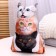 Antistress toy "Trio cats"