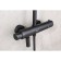 Lemark Bronx LM3772BL shower system, simultaneous, tropical shower, watering can, black