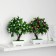 Bonsai in a pot "Wavy flowers" 10x24 cm, mix