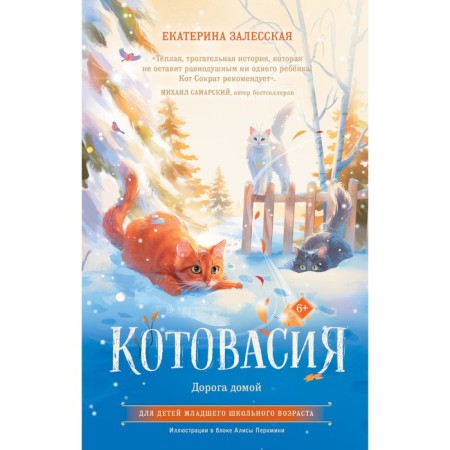 Котовасия. Дорога домой. Залесская Е.В.