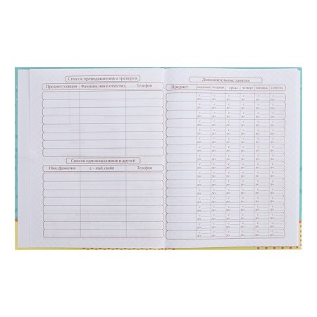 Diary for grades 1-4 Metoyou, hard cover, glossy lamination, 48 sheets-5