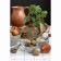 Liberty Jones in the Village, 150 ml, 4 pcs, 4 pcs.