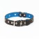 Collar leather reinforced with a kapron with a half-ring, 55 x 2.5 cm, Osh 27-53 cm, black