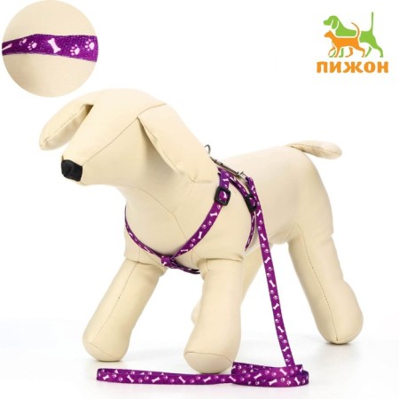 Set "Classic", leash 120 x 1 cm, fire 28-47 cm, purple