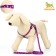 Set "Classic", leash 120 x 1 cm, fire 28-47 cm, purple