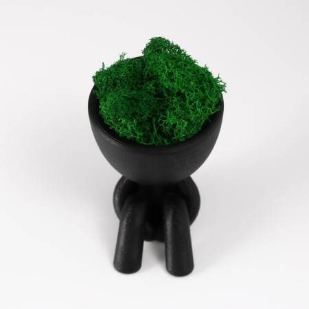 Kashpo concrete mini "Mr. Green in anticipation" with moss black 5.5x7x7 cm (moss green stabiliz)-4