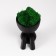 Kashpo concrete mini "Mr. Green in anticipation" with moss black 5.5x7x7 cm (moss green stabiliz)