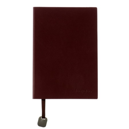 Diary Leduced A5,116 sheets in a cage, tinted cut, Light cover Mix-1