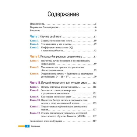 Teach yourself to think. 2nd edition. Busen T.-1