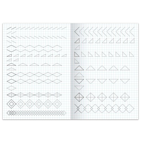 Records "Patterns on cells", 20 pp., A4 format-1