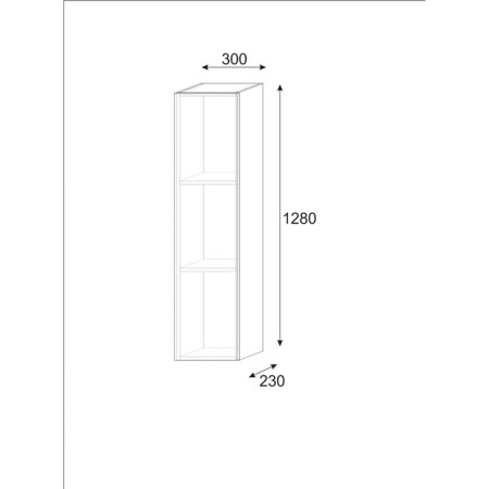 Cabinet of hinged infinity 2, 300x250x1280, white/white MDF-1