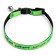 Fly collar with reflective coating "fish", 30 x 1 cm, green