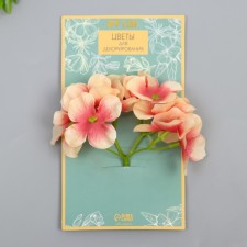 Flowers for decorating 
