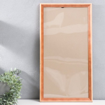 Photo frame pine С20 25x50 (plastic screen) cm