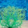 The plant is artificial aquarium, luminous, 15 cm, green