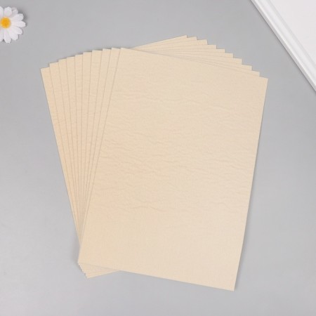 Fetr adhesive stiff "beiger" 1 mm (set of 10 sheets) A4 format format-1