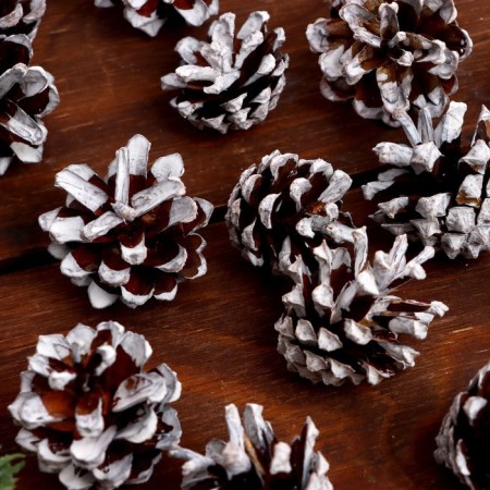 New Year's set of cones "White Tale" 75 g-4