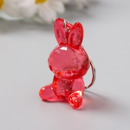 Acryl keychain "Bunny Crystal" mix 4.5x2.5x2 cm-2