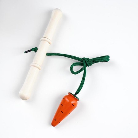 Children's game "Get carrots"