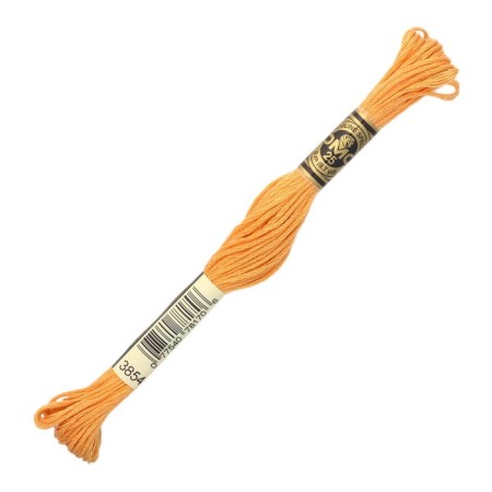 The threads of the DMC 117 (3854), 12 pcs. packaged