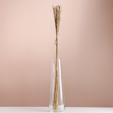 Set of dried flowers 