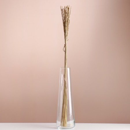 Set of dried flowers "Raigrace", banch 21 pcs, length 60 (+/- 6 cm), natural