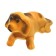 Dog on a car panel shocking his head, small, beige color