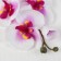 Artificial flowers "Moldiy orchid" 9x66 cm, white-violet