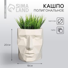 Kashpo polygonal 