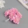 Decor for creativity "Camellia" pink (1 set = 1 bouquet) in the bouquet 6 pcs 4x11 cm
