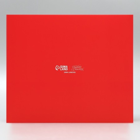 Gift Box "New Year's Gift", 23.5 x 20.5 x 5.5 cm, New Year-4