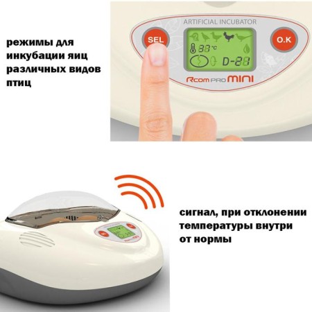 Incubator, 3 eggs, automatic coup, 220 V, with ovoscope, rcom mini-2