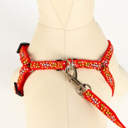 Set "Star Bones", leash 120 x 1 cm, og 23-35 cm, red-3