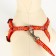 Set "Star Bones", leash 120 x 1 cm, og 23-35 cm, red