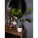 Decorative plant in the cement pot of Monster, 15 × 15 × 89 cm