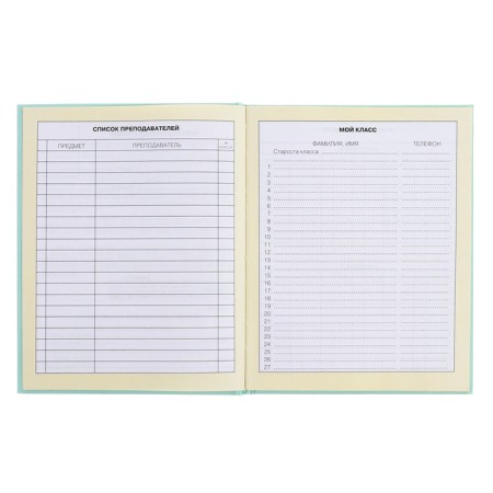 Diary for grades 1-4, solid cover "Girls", matte lamination, selective varnish, block 60 g/m2-6