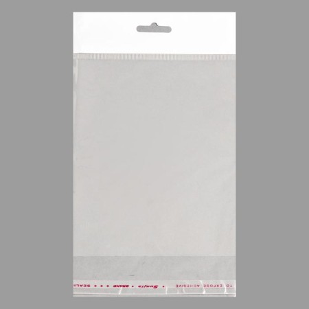 BOPP package with an adhesive valve, transparent 14 x 18/4 cm, euros, 25 μm