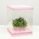 Box for flowers with a vase and PVC windows are folding, pink, 23 x 30 x 23 cm