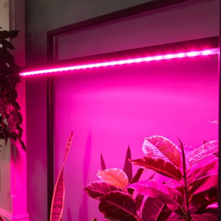Lamp for plants LED linear, 900 mm Uniel, 14 W, LED, IP65, Color transparent-7