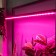 Lamp for plants LED linear, 900 mm Uniel, 14 W, LED, IP65, Color transparent