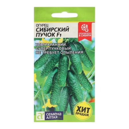 Siberian bundle seeds, F1, 5 pcs