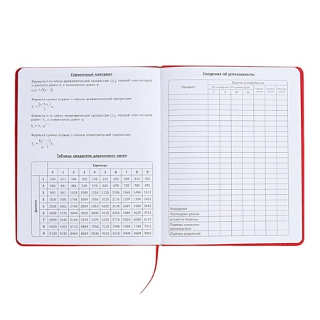 The universal diary for the 1-11 classes "Anime", a solid cover made of artificial leather, application, lies, 48 ​​sheets, red-13