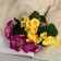 Bouquet "Nasturtium Galant" 4,5x28 cm, mix