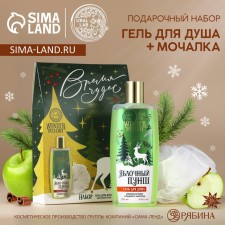 Gift set of cosmetics, shower gel 250 ml and washcloth, Winter Melody by Ural Lab