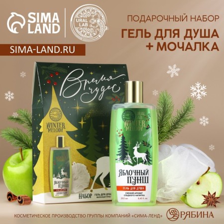 Gift set of cosmetics, shower gel 250 ml and washcloth, Winter Melody by Ural Lab