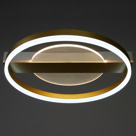 Luer with PDU 1343/2 LED 100W 3000-6000k gold 52x50x9 cm Bayerlux-4