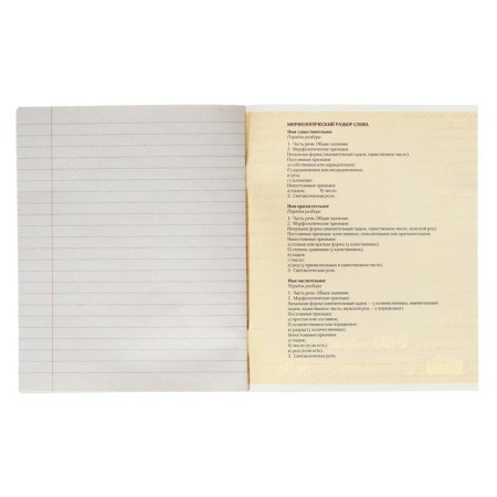 Subject subject calligrata "3D", 48 sheets in the line of Russian, with reference material, covered cardboard, block No. 2, whiteness 75% (gray sheets)-3