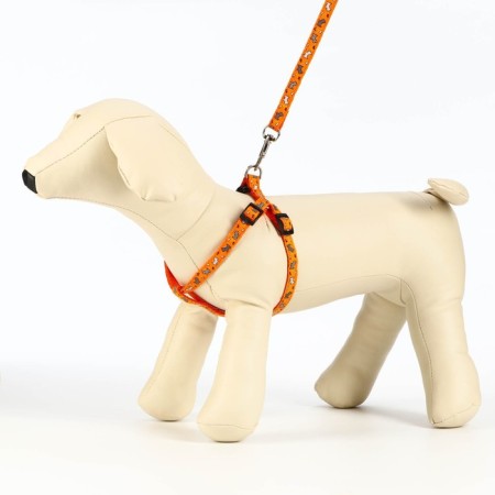 Set "Dogs", leash 120 x 1 cm, og 23-35 cm, orange-2